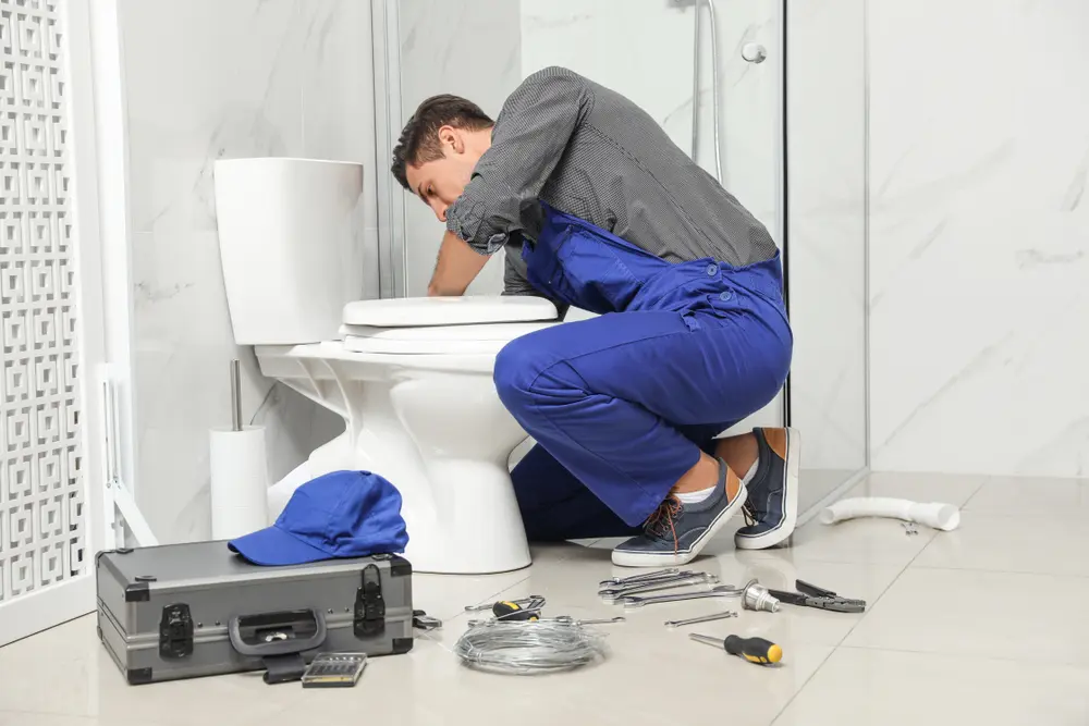 Toilet Installation in Georgetown